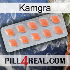 Kamgra 26